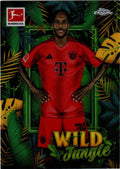 Topps Chrome Bundesliga 2024/25 - WJ-10 - Mathys Tel - Wild Jungle - FC Bayern München