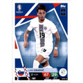 Topps Match Attax EURO 2024 Germany -  SVN 12 - Luka Zahovic